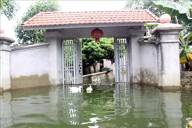 Ngập lụt ở xã Nam Phương Tiến, huyện Chương Mỹ (Hà Nội). Ảnh: Nguyễn Văn Cảnh - TTXVN