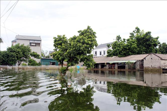 Ngập lụt ở xã Nam Phương Tiến, huyện Chương Mỹ (Hà Nội). Ảnh: Nguyễn Văn Cảnh - TTXVN