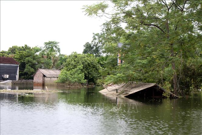 Ngập lụt ở xã Nam Phương Tiến, huyện Chương Mỹ (Hà Nội). Ảnh: Nguyễn Văn Cảnh - TTXVN