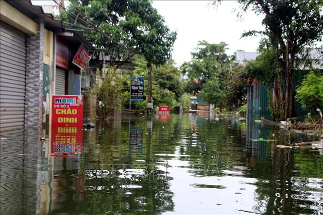 Ngập lụt ở xã Nam Phương Tiến, huyện Chương Mỹ (Hà Nội). Ảnh: Nguyễn Văn Cảnh - TTXVN