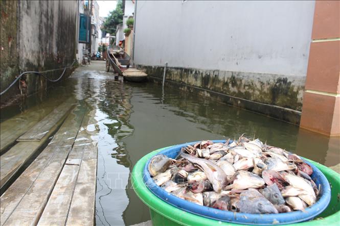 Nhiều ngõ nhỏ trong xóm Bến Vôi vẫn ngập trong nước. Ảnh: Nguyễn Thắng-TTXVN