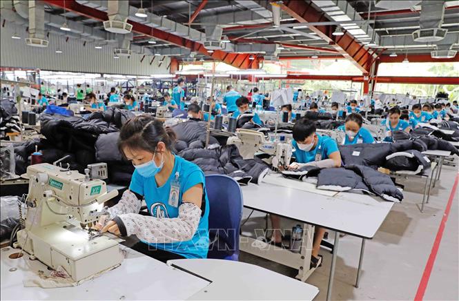 Workers making clothes for export at Thai Binh Maxport textile company. VNA Photo 