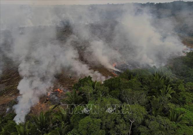 Khói bốc lên từ đám cháy rừng Amazon tại bang Amazonas, Brazil. Ảnh: REUTERS/TTXVN
