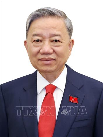 Party General Secretary and State President To Lam. VNA Photo