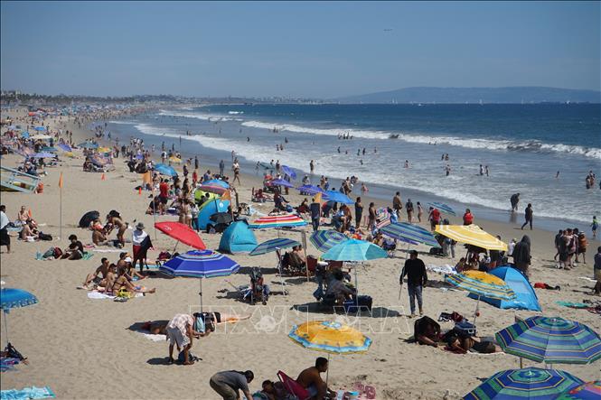 Người dân tắm mát trong ngày nắng nóng ở bãi biển Monica thuộc Los Angeles, bang California (Mỹ) ngày 23/6/2024. Ảnh: THX/TTXVN