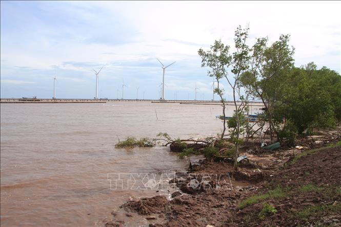 Khu vực bị sạt lở hiện không còn nhiều cây rừng phòng hộ bảo vệ nên dễ dàng bị ảnh hưởng trước sóng biển. Ảnh: Chanh Đa-TTXVN