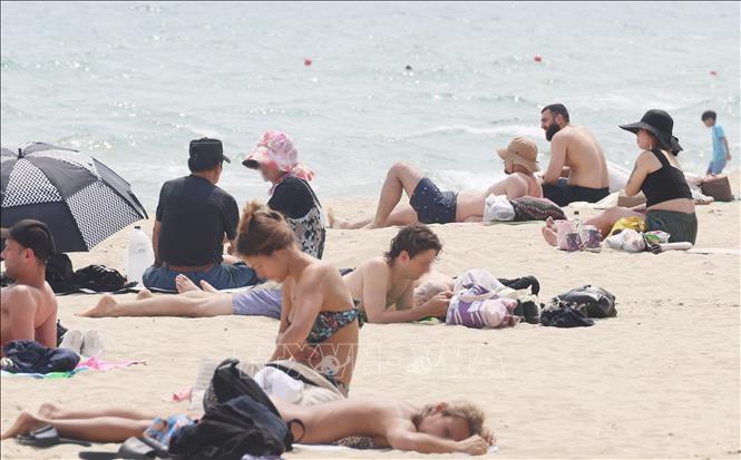 Người dân tránh nóng trên bãi biển tại Busan, Hàn Quốc, ngày 11/6/2024. Ảnh: Yonhap/TTXVN