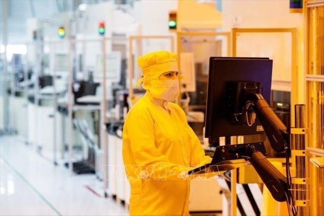 (Tư liệu) Kỹ thuật viên làm việc tại nhà máy của Tập đoàn sản xuất chip Infineon ở Dresden, Đức. Ảnh: Getty Images/TTXVN
