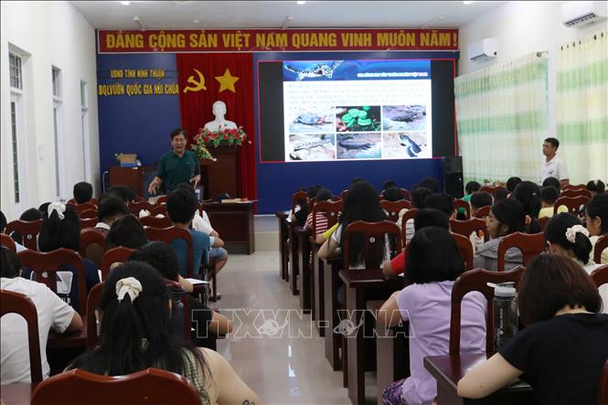 Children take lessons in protecting sea turtles at the Nui Chua National Park. VNA Photo: Nguyễn Thành