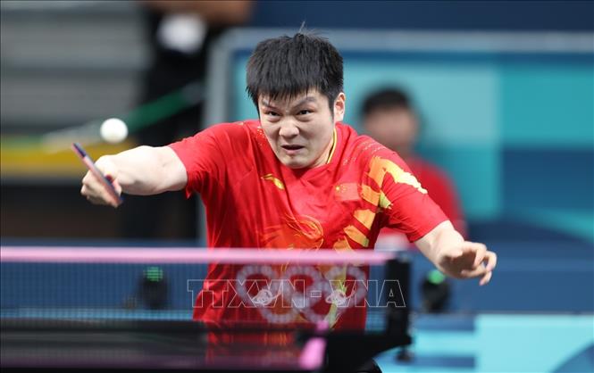 Phàn Chấn Đông (Fan Zhendong) là một trong 