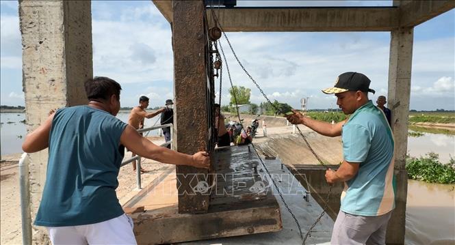 Người dân mở cống cho nước lũ mang phù sa vào cánh đồng ở xã Thường Thới Hậu A, huyện Hồng Ngự, tỉnh Đồng Tháp. Ảnh: Nhựt An - TTXVN