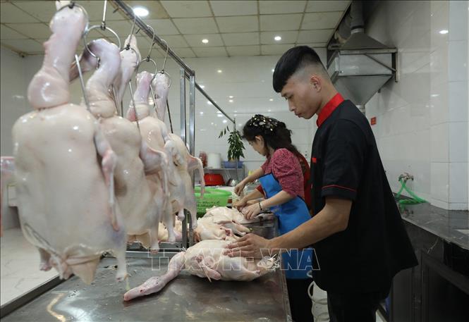Đại diện Trung tâm xúc tiến Đầu tư, Thương mại và Du lịch Lạng Sơn và chuyên gia ẩm thực Nguyễn Thường Quân khảo sát quy trình chế biến vịt quay tại cơ sở Vịt quay Hồng Xiêm. Ảnh: Anh Tuấn – TTXVN