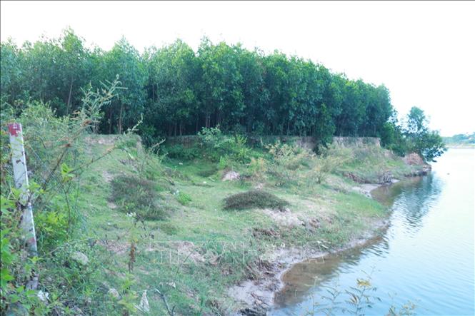 Bờ sông Thạch Hãn đoạn qua xã Triệu Giang (Triệu Phong, Quảng Trị) bị sạt lở lấn sâu vào đất sản xuất của người dân. Ảnh: Nguyên Lý - TTXVN