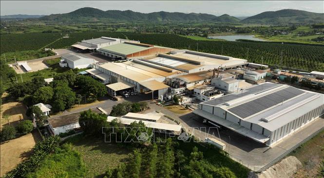 Nhà máy chế biến sữa tươi sạch của Tập đoàn TH có 27 dây chuyền sản xuất tự động hóa với công suất 500 triệu lít/năm, bằng các công nghệ hiện đại hàng đầu thế giới như GEA, Combi (Đức); SACMI (Italy); Tetra Pak (Thụy Điển); SERAC (Pháp); BOSH (Hoa Kỳ). Ảnh: Vũ Sinh – TTXVN