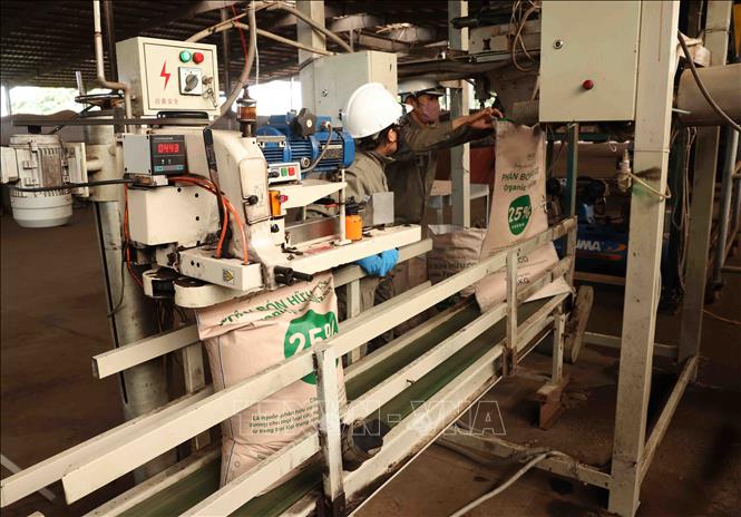 Đóng gói sản phẩm phân bón đảm bảo 3 tiêu chí “phân bón hữu cơ, sinh học và vi sinh” tại nhà máy của Tập đoàn TH. Ảnh: Vũ Sinh - TTXVN