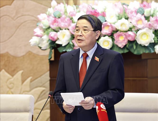 Phó Chủ tịch Quốc hội Nguyễn Đức Hải phát biểu. Ảnh: Doãn Tấn - TTXVN