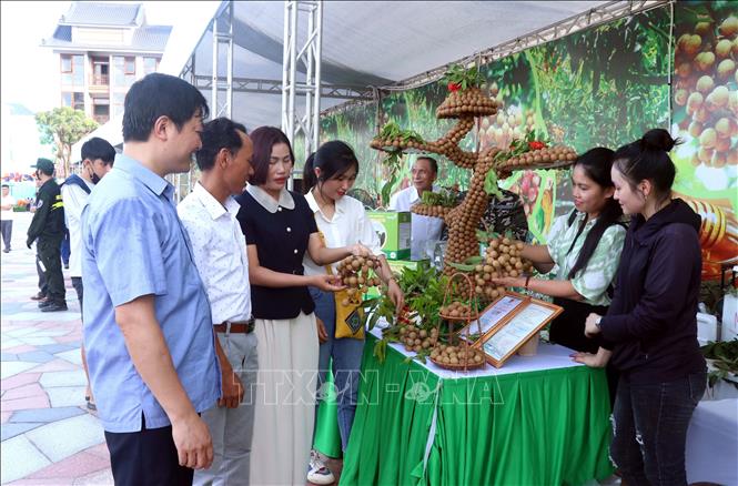 Người dân và du khách tham quan các gian hàng. Ảnh: Đinh Văn Nhiều-TTXVN