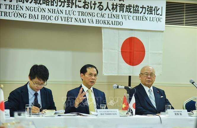 Foreign Minister Bui Thanh Son speaks at the seminar. VNA Photo