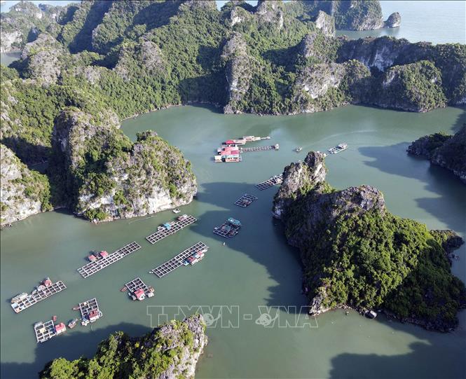 Làng chài Vung Viêng được bao bọc bởi các dãy núi đá vôi trên Vịnh Hạ Long. Ảnh: Đức Hiếu – TTXVN