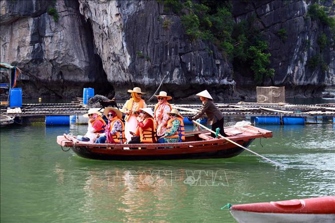 Du khách khám phá làng chài Vung Viêng trên Vịnh Hạ Long. Ảnh: Đức Hiếu – TTXVN