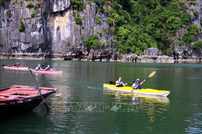 Du khách sử dụng dịch vụ tham quan làng chài Vung Viêng trên Vịnh Hạ Long bằng thuyền kayak. Ảnh: Đức Hiếu – TTXVN