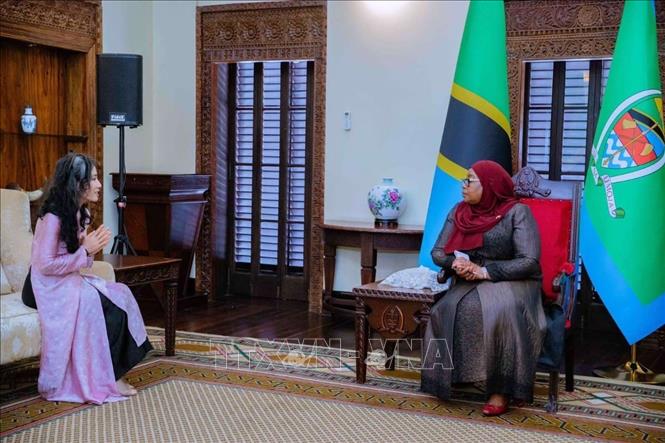 Sau lễ trình Quốc thư, Tổng thống Samia Suluhu Hassan đã tiếp thân mật Đại sứ Vũ Thanh Huyền. Ảnh: Đại sứ quán Việt Nam tại Tanzania/TTXVN phát
