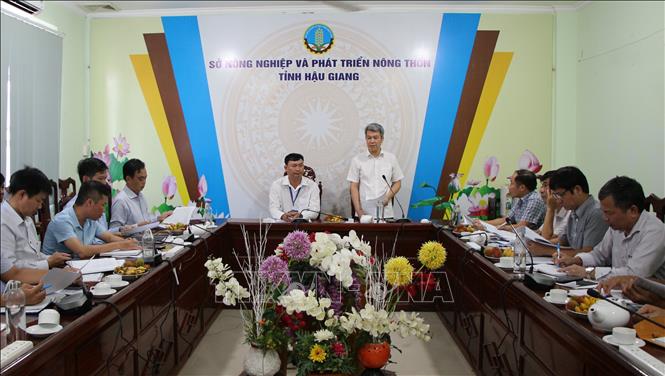 Quang cảnh buổi làm việc. Ảnh: Nguyễn Hằng - TTXVN