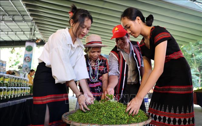 Visitors learn about A Rieu chillies at the festival. VNA Photo
