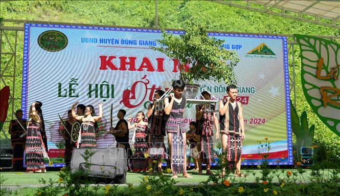 A view of the festival. VNA Photo