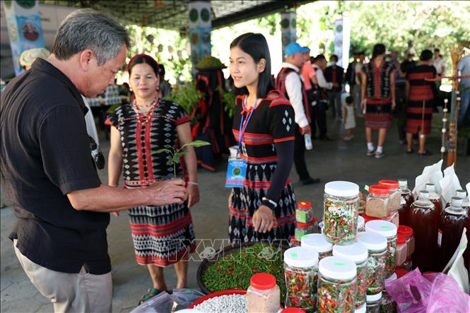 Products made from A Rieu chillies on sale at the festival. VNA Photo: Trần Tĩnh