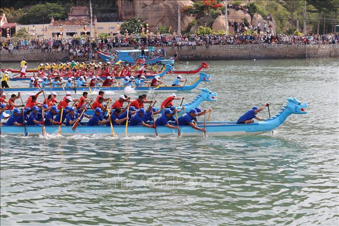 Các đội tham gia giải đua thuyền rồng truyền thống trên biển Đầm Nại - Ninh Hải 2024. Ảnh: Nguyễn Thành – TTXVN