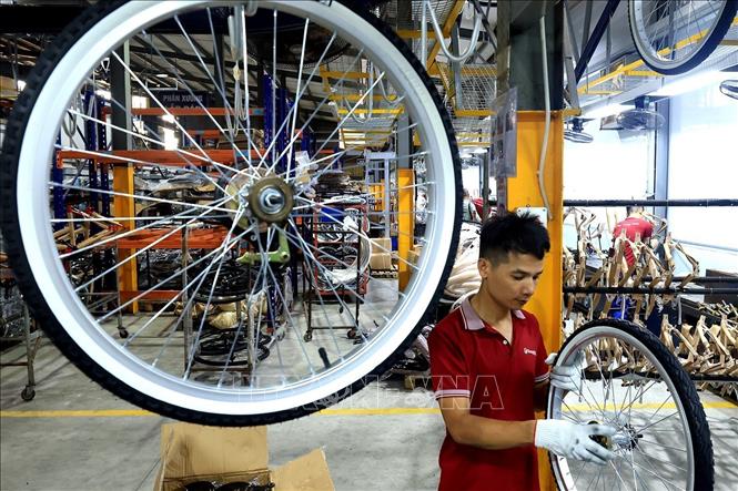 Công ty Cổ phần Thống Nhất hướng tới phục vụ các thị trường lớn và khắt khe hơn như Hoa Kỳ, Nhật Bản, EU. Ảnh: Tuấn Anh - TTXVN