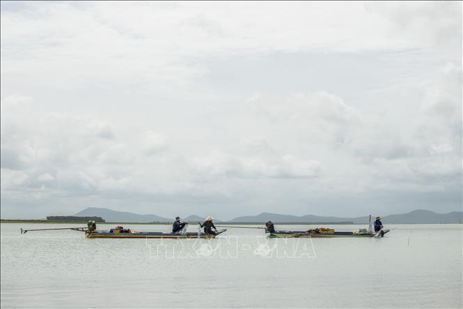 Hồ Dầu Tiếng trải dài trên địa bàn 3 tỉnh Tây Ninh, Bình Dương và Bình Phước là nơi mưu sinh chủ yếu bằng nghề đánh bắt thủy sản của hơn 4.000 hộ dân sinh sống ven hồ. Ảnh: Giang Phương - TTXVN