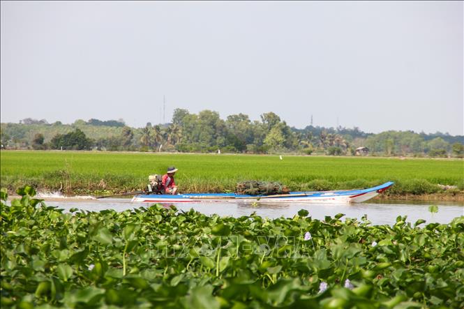 Người dân đánh đi bắt cá bằng lợp xếp, một loại ngư cụ cấm khai thác, đánh bắt. Ảnh: Giang Phương - TTXVN