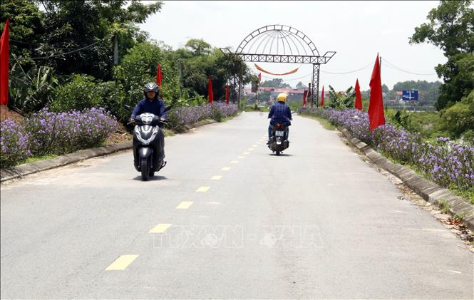 Người dân trong xã hiến đất để mở rộng đường đê tả Cầu. Ảnh: Đồng Thúy-TTXVN