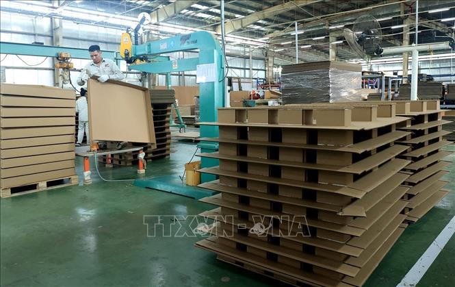 Sản phẩm của Tri-wall là loại bìa cứng được làm từ nguyên liệu bột giấy nhập từ Mỹ. Ảnh: Tuấn Anh – TTXVN