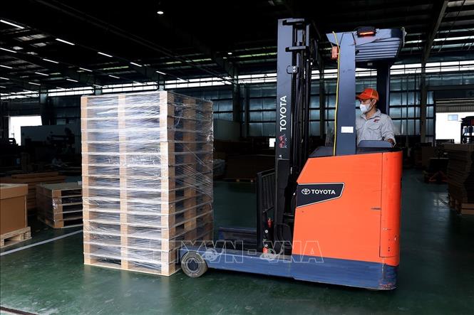Vận chuyển các tấm pallet thành phẩm tới khu tập kết. Ảnh: Tuấn Anh – TTXVN