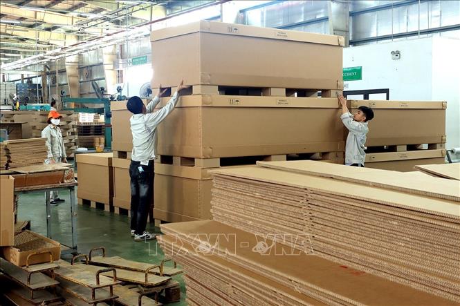 Thùng carton khổ lớn dùng để đóng gói, vận chuyển hàng nông nghiệp và công nghiệp. Ảnh: Tuấn Anh – TTXVN