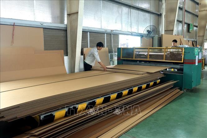 Công đoạn cắt tấm bìa carton từ khổ lớn sang các khổ nhỏ. Ảnh: Tuấn Anh – TTXVN