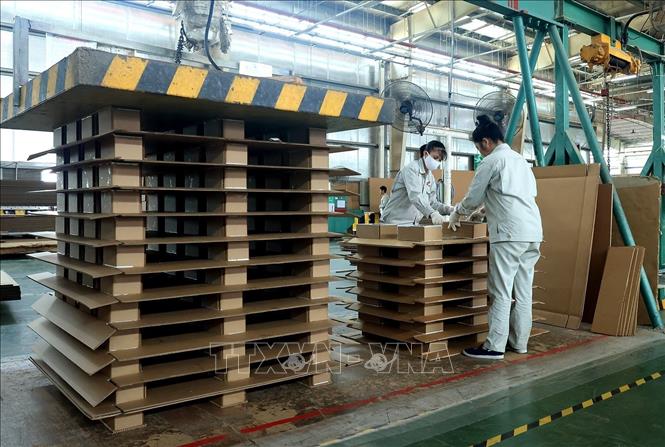 Các tấm pallet do công ty sản xuất có thể chịu lực trọng lượng khoảng 2 tấn. Ảnh: Tuấn Anh – TTXVN
