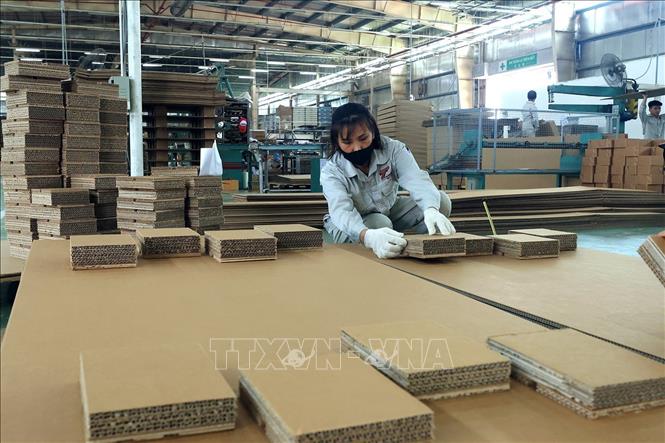 Công đoạn dán đế tấm pallet. Ảnh: Tuấn Anh – TTXVN