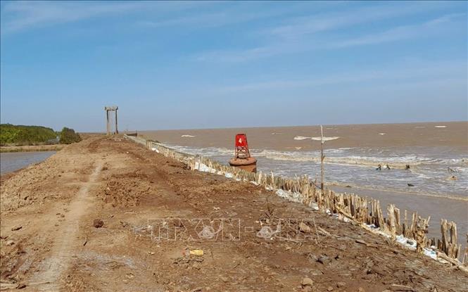 Tuyến đê biển dài gần 50 km (thị xã Vĩnh Châu, tỉnh Sóc Trăng) được chính quyền địa phương thường xuyên kiểm tra nâng cấp. Ảnh: TTXVN phát