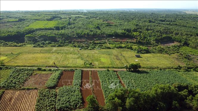 Khu du lịch sinh thái Rú Lịnh được triển khai trên diện tích hơn 137ha với tổng số vốn đầu tư 104,4 tỷ đồng. Ảnh: Nguyên Linh - TTXVN