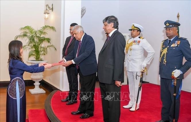 Ambassador presents credentials to Sri Lankan President - VNA Photos ...