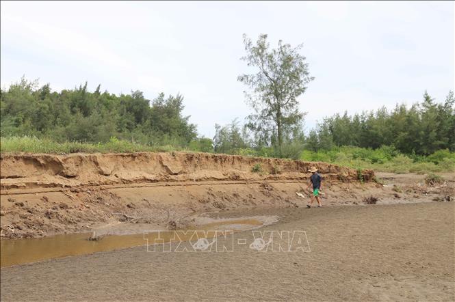 Tình trạng biển xâm thực gây sạt lở đất tại các xã ven biển huyện ven biển Diễn Châu (Nghệ An) ngày càng diễn biến phức tạp. Ảnh: Xuân Tiến - TTXVN 