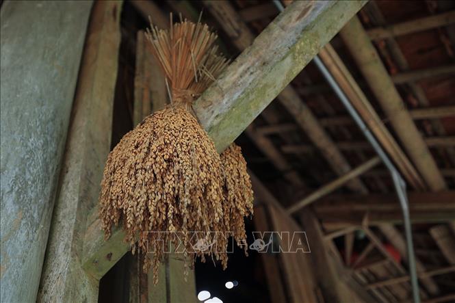 Bó lúa mùa thu hoạch trước được người dân lưu trữ bên hiên nhà sàn. Ảnh: Trọng Đạt-TTXVN