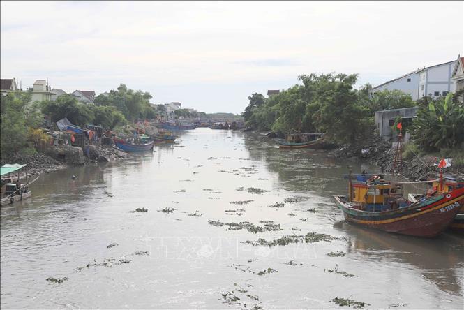 Vô số rác và bèo Tây trôi nổi trên sông Diễn Thủy trên suốt chiều dài hàng trăm mét. Ảnh: Xuân Tiến - TTXVN 