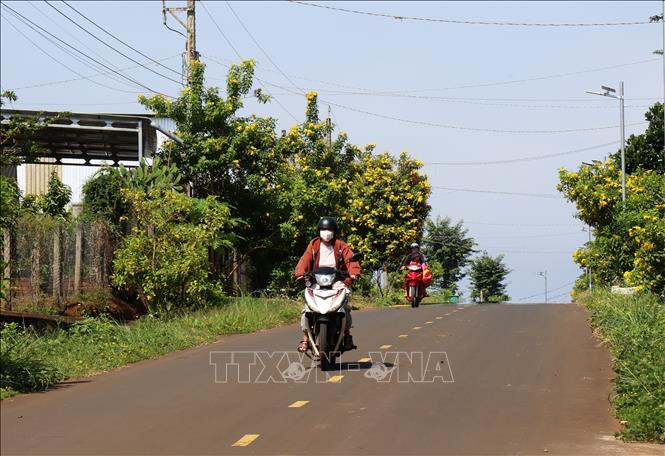 Đường qua trung tâm xã nông thôn mới Đoàn Kết (Bù Đăng, Bình Phước). Ảnh: Hồng Đạt - TTXVN
