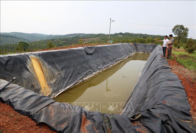 Hồ trữ nước tưới cho vườn sầu riêng ở xã nông thôn mới nâng cao Đức Liễu (Bù Đăng, Bình Phước). Ảnh: Hồng Đạt - TTXVN
