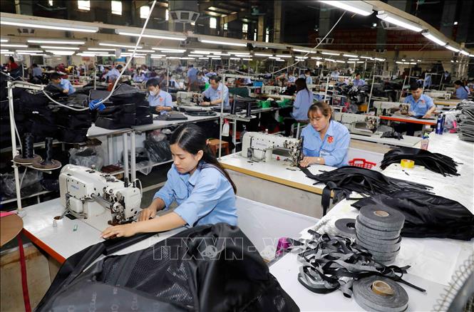 Sản phẩm túi da tiêu dùng trong nước và xuất khẩu của công ty Ladoda (ảnh tư liệu). Ảnh: Trần Việt - TTXVN 